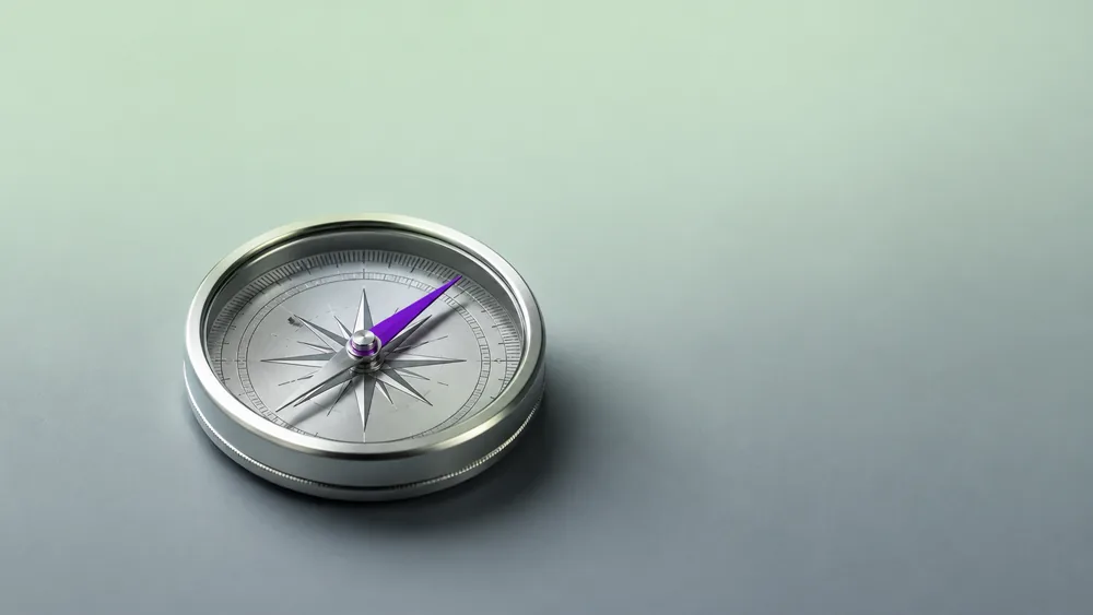 A compass with a violet needle pointing one way, marking Vigor's advisory and CFO articles